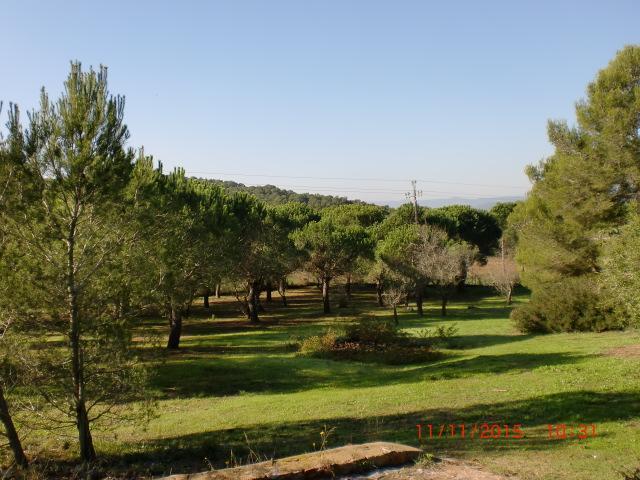 Puig Gros Hotel Montras Luaran gambar