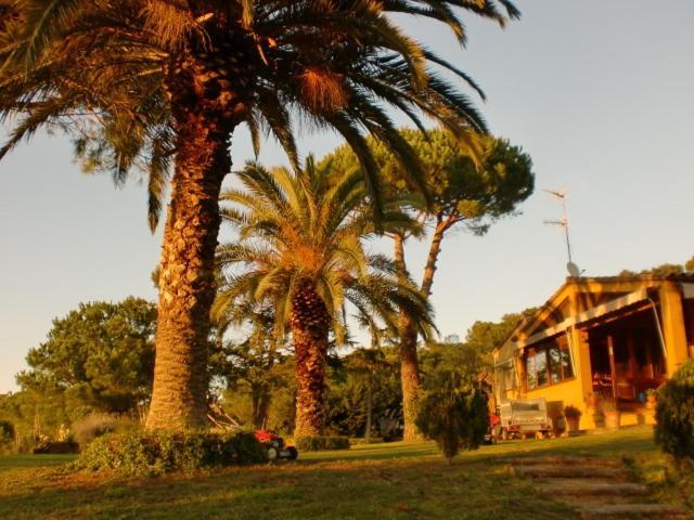 Puig Gros Hotel Montras Luaran gambar